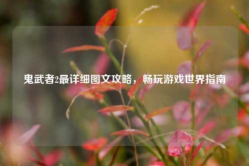 鬼武者2最详细图文攻略,畅玩游戏世界指南