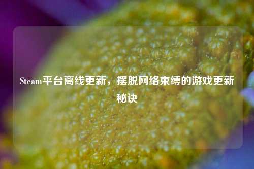 Steam平台离线更新,摆脱网络束缚的游戏更新秘诀