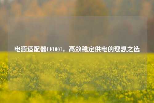 电源适配器CF1001，高效稳定供电的理想之选