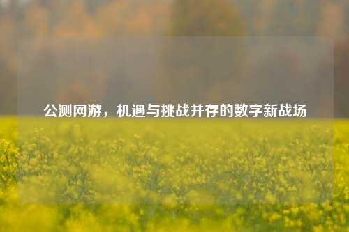 公测网游，机遇与挑战并存的数字新战场
