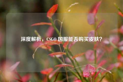 深度解析，CSGO 国服能否购买皮肤？