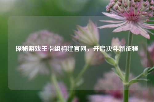 探秘游戏王卡组构建官网,开启决斗新征程