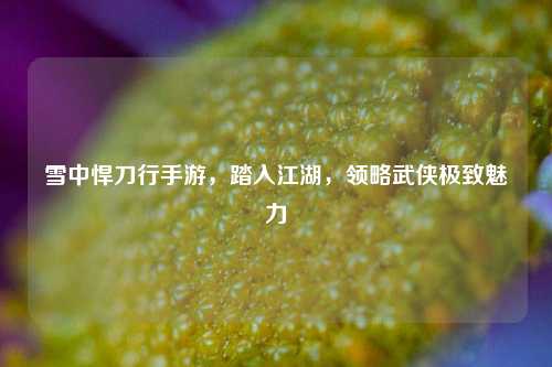 雪中悍刀行手游，踏入江湖，领略武侠极致魅力