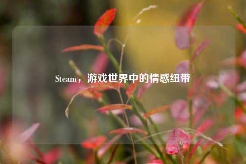 Steam,游戏世界中的情感纽带