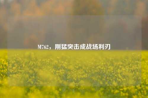 M762,刚猛突击成战场利刃