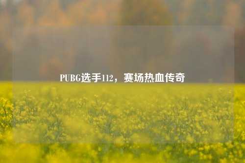 PUBG选手112,赛场热血传奇