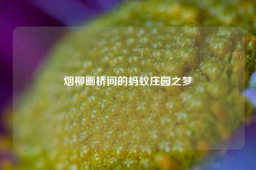 烟柳画桥间的蚂蚁庄园之梦