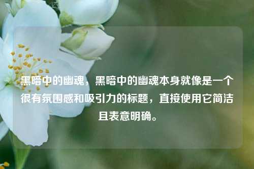 黑暗中的幽魂,黑暗中的幽魂本身就像是一个很有氛围感和吸引力的标题,直接使用它简洁且表意明确。