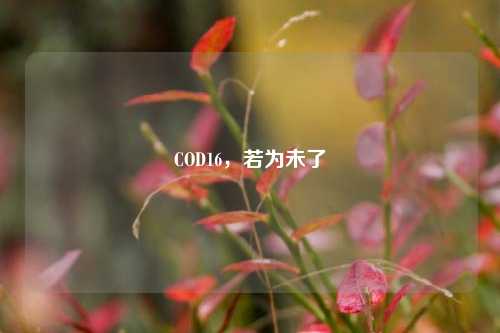 COD16,若为未了