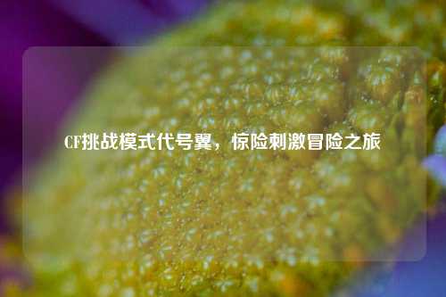 CF挑战模式代号翼,惊险刺激冒险之旅