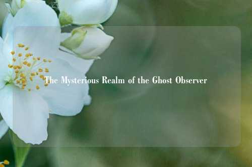 The Mysterious Realm of the Ghost Observer