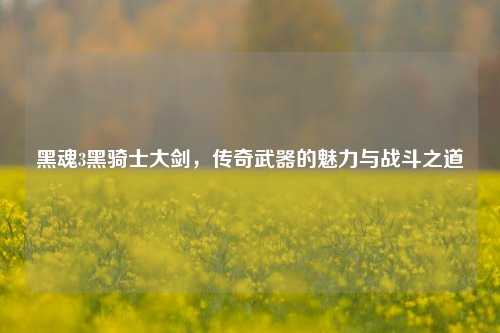 黑魂3黑骑士大剑,传奇武器的魅力与战斗之道