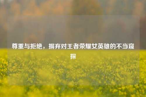 尊重与拒绝，摒弃对王者荣耀女英雄的不当窥探