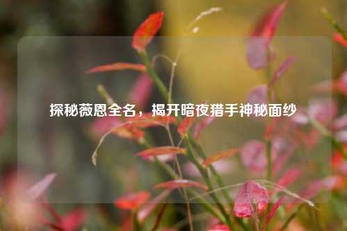 探秘薇恩全名，揭开暗夜猎手神秘面纱