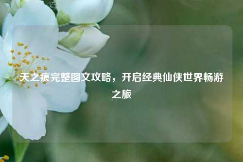 天之痕完整图文攻略，开启经典仙侠世界畅游之旅