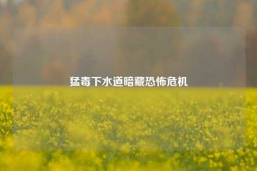 猛毒下水道暗藏恐怖危机