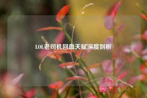 LOL老司机回血天赋深度剖析