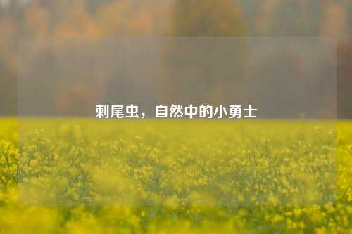 刺尾虫，自然中的小勇士