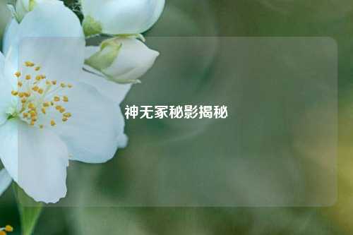 神无冢秘影揭秘