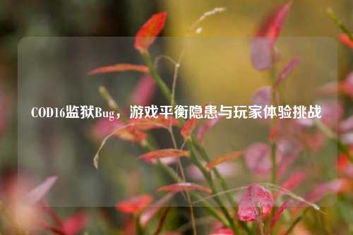 COD16监狱Bug,游戏平衡隐患与玩家体验挑战