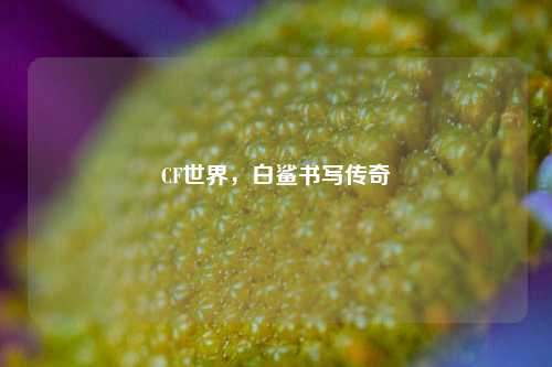 CF世界,白鲨书写传奇