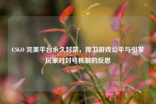 CSGO 完美平台永久封禁，捍卫游戏公平与引发玩家对封号机制的反思