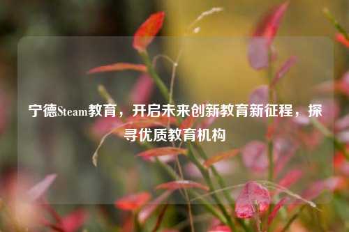 宁德Steam教育，开启未来创新教育新征程，探寻优质教育机构