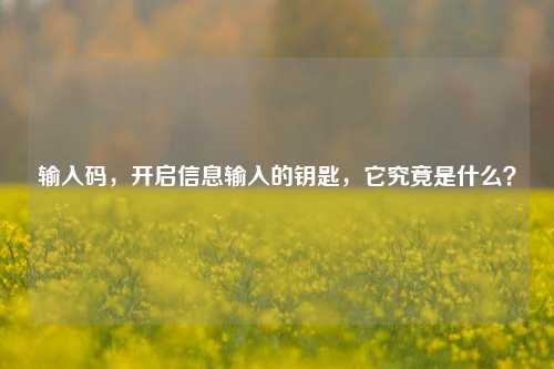 输入码,开启信息输入的钥匙,它究竟是什么?