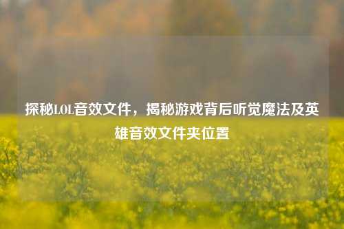 探秘LOL音效文件，揭秘游戏背后听觉魔法及英雄音效文件夹位置