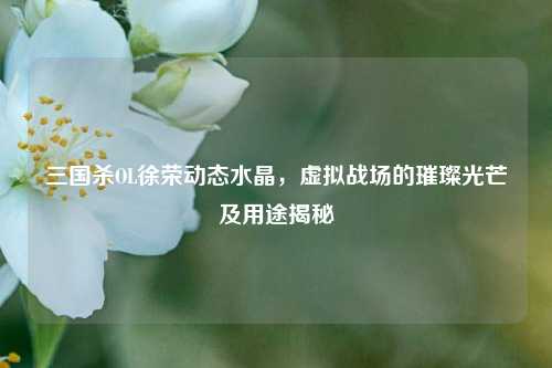 三国杀OL徐荣动态水晶，虚拟战场的璀璨光芒及用途揭秘
