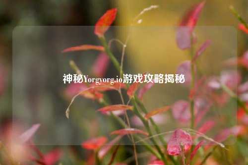 神秘Yorgyorg.io游戏攻略揭秘