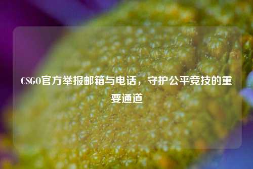 CSGO官方举报邮箱与电话，守护公平竞技的重要通道