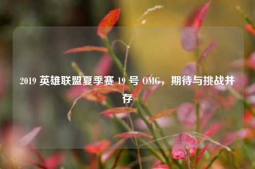 2019 英雄联盟夏季赛 19 号 OMG，期待与挑战并存