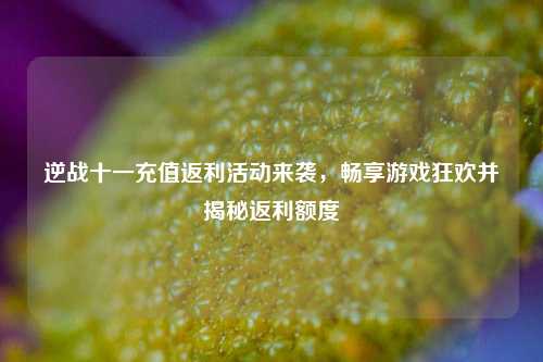 逆战十一充值返利活动来袭,畅享游戏狂欢并揭秘返利额度
