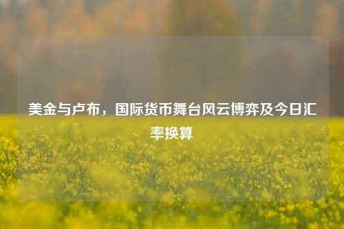 美金与卢布,国际货币舞台风云博弈及今日汇率换算
