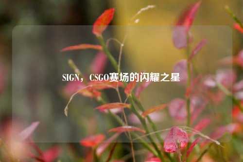 SIGN，CSGO赛场的闪耀之星