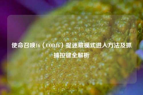 使命召唤16（COD16）捉迷藏模式进入方法及抓捕按键全解析
