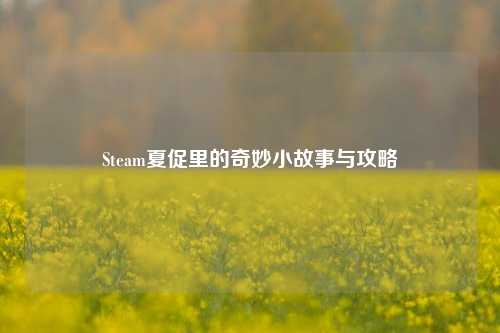 Steam夏促里的奇妙小故事与攻略
