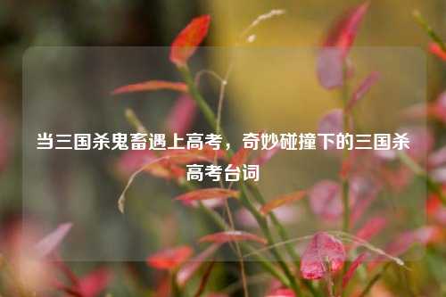 当三国杀鬼畜遇上高考，奇妙碰撞下的三国杀高考台词