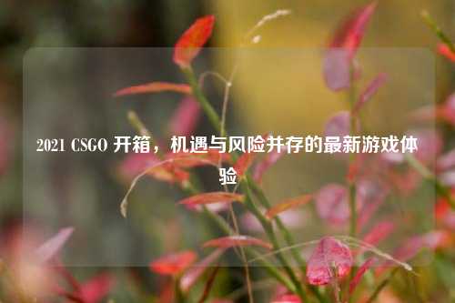 2021 CSGO 开箱，机遇与风险并存的最新游戏体验
