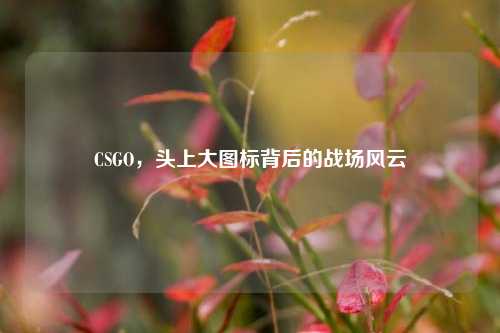 CSGO,头上大图标背后的战场风云