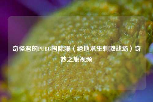 奇怪君的PUBG国际服（绝地求生刺激战场）奇妙之旅视频