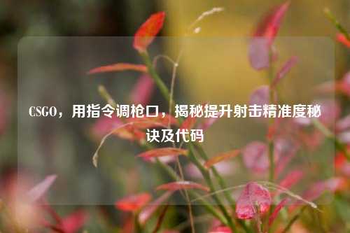 CSGO，用指令调枪口，揭秘提升射击精准度秘诀及代码