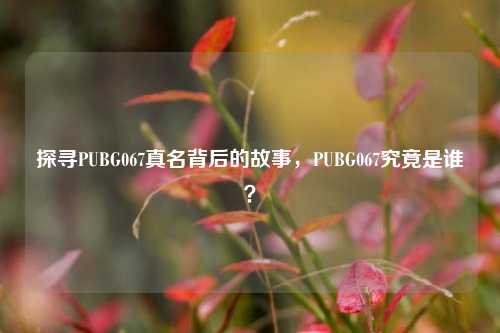 探寻PUBG067真名背后的故事,PUBG067究竟是谁?
