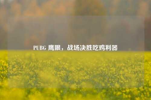 PUBG 鹰眼，战场决胜吃鸡利器