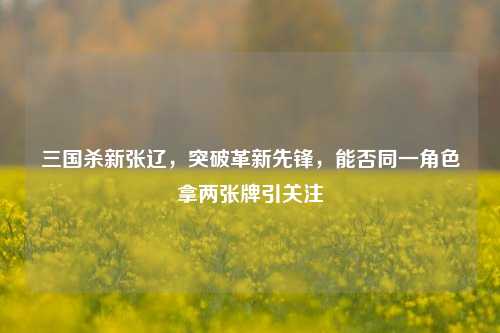 三国杀新张辽,突破革新先锋,能否同一角色拿两张牌引关注
