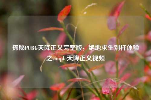 探秘PUBG天降正义完整版，绝地求生别样体验之simple天降正义视频