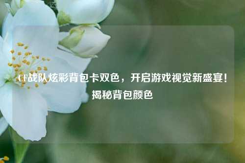 CF战队炫彩背包卡双色，开启游戏视觉新盛宴！揭秘背包颜色