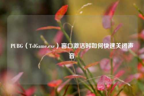 PUBG（TslGame.exe）窗口激活时如何快速关闭声音