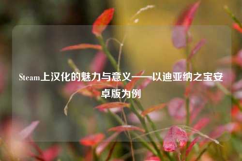 Steam上汉化的魅力与意义——以迪亚纳之宝安卓版为例